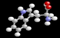 tryptophan 3D