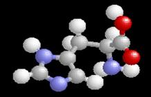 histidine 3D